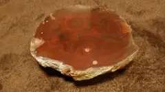 パワーストーン！ハイパワー✨️知る人ぞ知る兵庫のパワースポット 