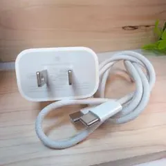 Apple USB-C 20W 電源アダプタ + USB-C充電ケーブル純正品