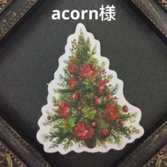 acorn様°・*:.。.☆