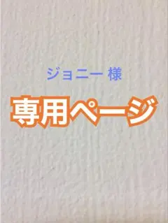 アイロンビーズ メイキングトイ