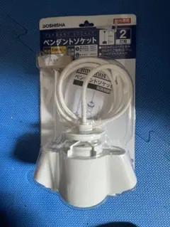 新品未使用 国内海外OK Kashimura ワールドポット2 電気ポット - メルカリ