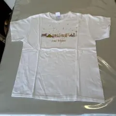 最終処分‼️FRUIT OF THE LOOM Las Vegas Tシャツ Mのサムネイル