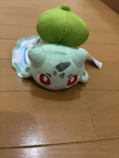 2025年最新】ポケモン／ポケットモンスター ぬいぐるみの人気アイテム