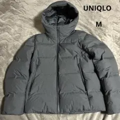 Item thumbnail for item 8eac98a4-0f33-40cb-9c29-5dce9c16ed75