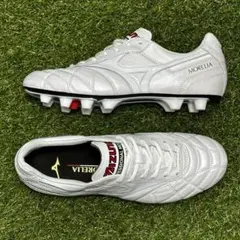 【Buddy様】モレリア2ジャパン　ペイントカスタムモデル　26.5㌢