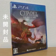【未開封品】シタデル:永炎の魔法と古の城塞 PS4