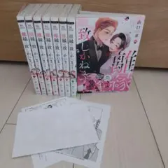 【完結セット】離縁は致しかねます! 1-8