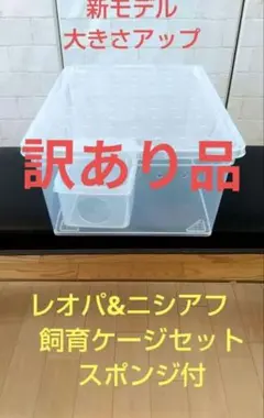 レパードゲッコー 飼育ケージ セット 訳あり品のサムネイル