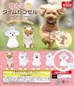 わんこのタイムカプセル うちの子のけだまだま 犬