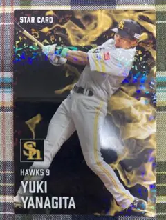 柳田悠岐選手　プロ野球チップス　トレーディングカード