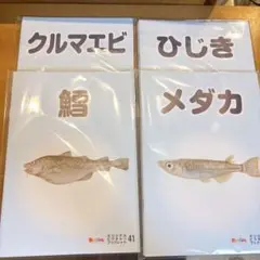 ベビーパーク　ピクチャーブックレット　海の生き物編　16冊