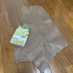 Item thumbnail for item 03100feb-7741-4c7e-8199-6f8b41f8ff6f