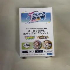 プロセカ 5th 感謝祭 オーロラ箔押しミニ色紙 B 缶バッジB新品未開封