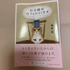 Item thumbnail for item 823e4176-9d63-4068-97d3-eb7ed6624f54