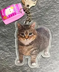 Item thumbnail for item 579eb8fd-b5bf-4b81-8122-534438991228