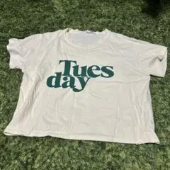 Tシャツ クリーム色