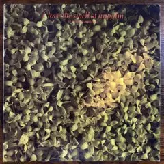 LP クリエイション・レコーズ コンピ盤 プライマル ビフバン 他 ギタポ