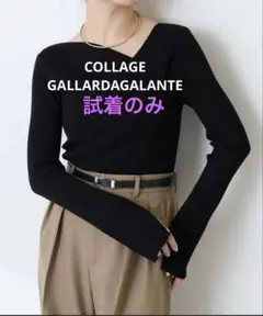 COLLAGE GALLARDAGALANTEデザインネックリブニット