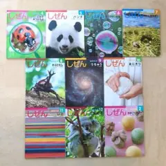 しぜんキンダーブック　10冊セット