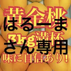 はるーまさん専用