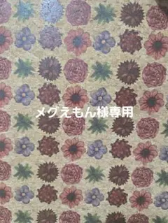メグえもん様✨専用