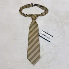 Item thumbnail for item 98a47efa-88f4-4f00-acb5-bcfa7c5d9eaf