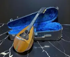 Item thumbnail for item a50efd99-1c66-4123-973e-0595c1ad9859