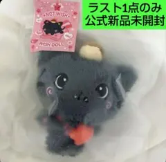 nctwish ぬいぐるみ リク NCT WISH リク WISH DOLL ぬいぐるみ STEADY - メルカリ