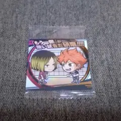 ハイキュー シールウエハース SR 翔陽＆研磨