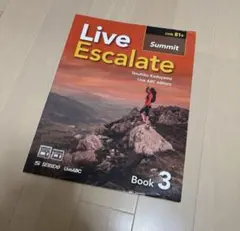 Item thumbnail for item b409dead-0fd4-4045-89ff-b59026e67ba6