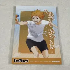 ハイキュー!! ハイキュー 水遊び ポストカード ポスカ 日向翔陽