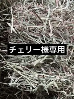 チェリー様専用