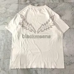 希少デザイン blackmeans ブラックミーンズ Tシャツ Lのサムネイル