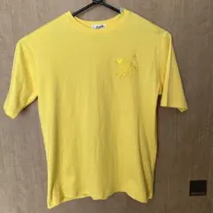 Item thumbnail for item 8ccc6348-e98f-4db5-bb19-271a8f3f9e90