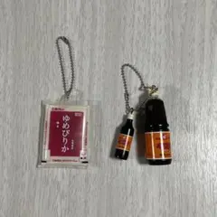 ミニチュア 北海道 vol.3キーホルダー ガチャのサムネイル