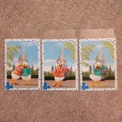 ディズニースペシャルフォト【七夕ドナルド&デイジーセット】