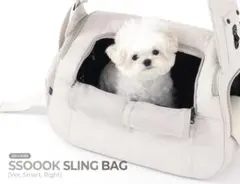 2026年最新】ssoook slingbagの人気アイテム - メルカリ