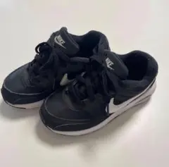 NIKE Airmax キッズ 17cm