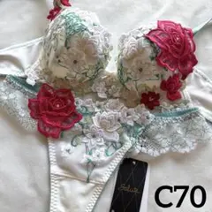 Wacoal Salute ブラジャー ショーツ セット E70M - メルカリ