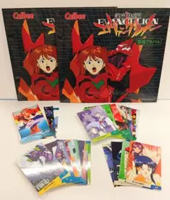 新世紀ヱヴァンゲリオン ヱヴァチップス カルビーカード トレカ　カードダスのサムネイル