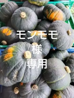 モンモモ　様　専用