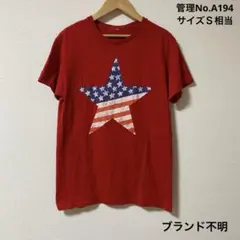 メンズ　USA古着　片面プリント　アメリカ国旗デザイン 赤 Tシャツ