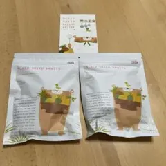 ドライフルーツ100g×2袋 一条工務店のサムネイル
