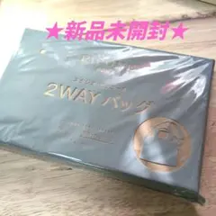 素敵なあの人 2024年 5月号 【付録】かまぼこ型2wayバッグ