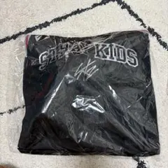 新品未開封 straykids スキズ アプグレ dominATE エコパ