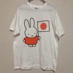 Item thumbnail for item cde6cab8-6050-4c5f-8fbb-b74a8f1e6afe