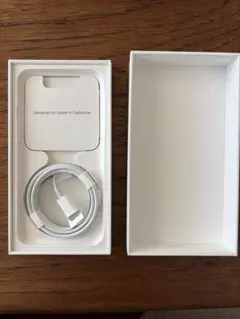 Apple iPhone SE 空箱 充電ケーブル付