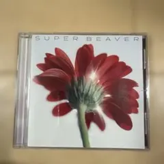 片想い/涙の正体　スーパービーバー