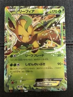 リーフィアEX：バトル強化セット 草/闘 PROMO XYシリーズプロモーショ…