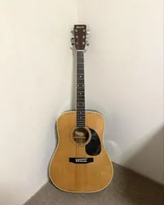 2025年最新】ギター morris W20の人気アイテム - メルカリ